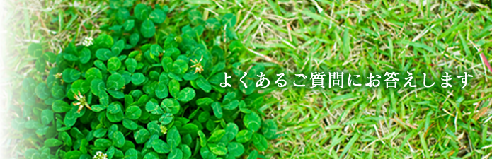 ƒgƒbƒvƒCƒ[ƒW